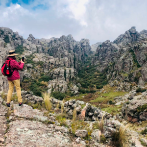 finde al lo gigantes