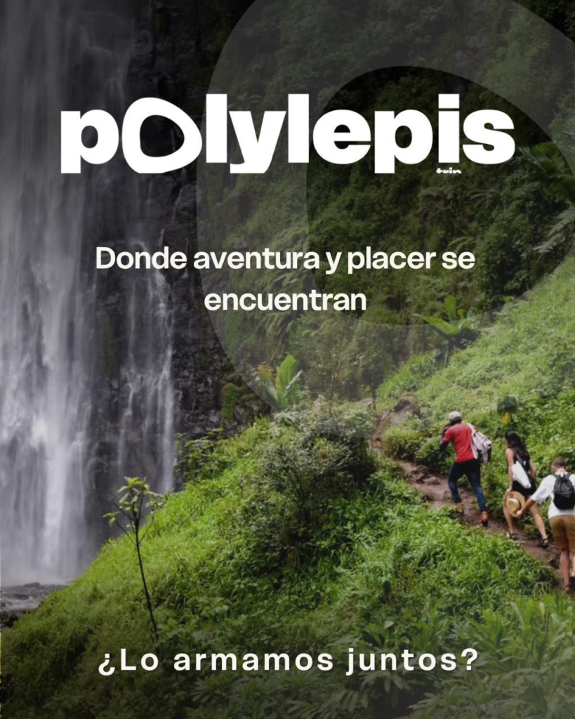 Luna de Miel 2026 Lujo y Aventura Image 27 819x1024