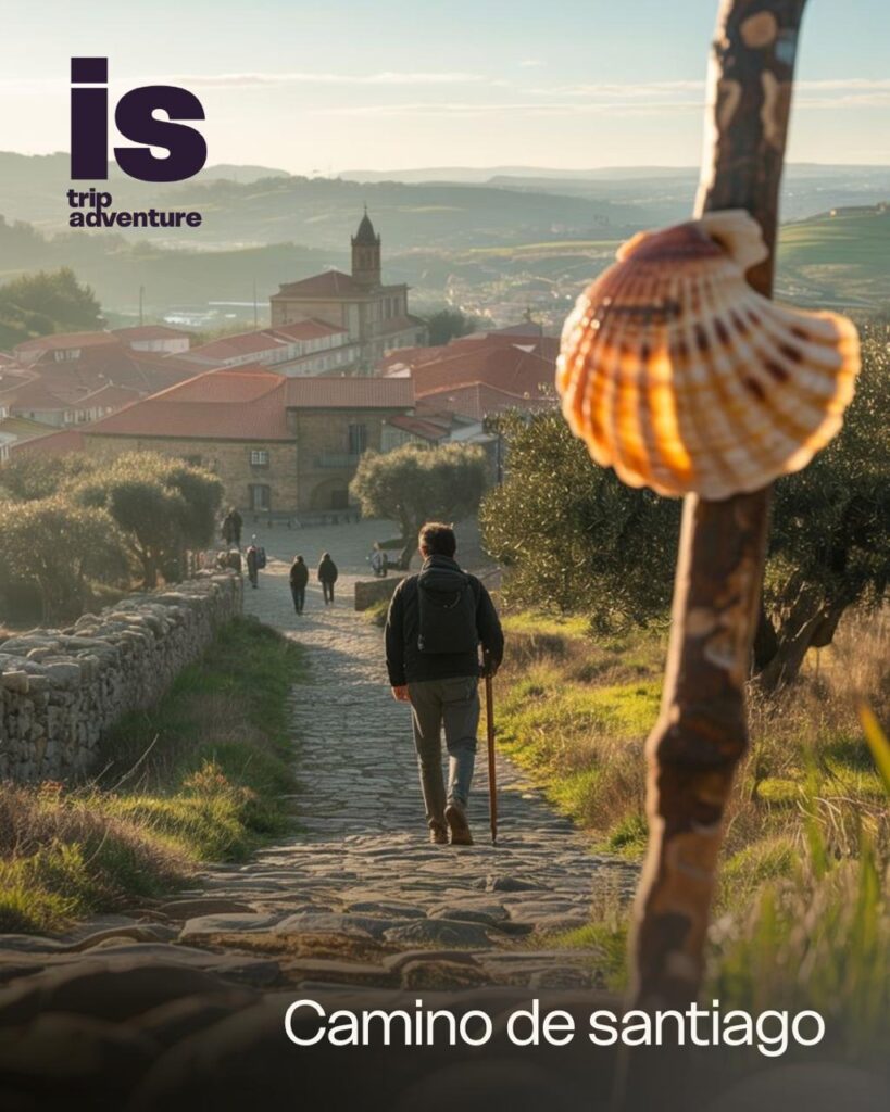 Camino De Santiago 819x1024